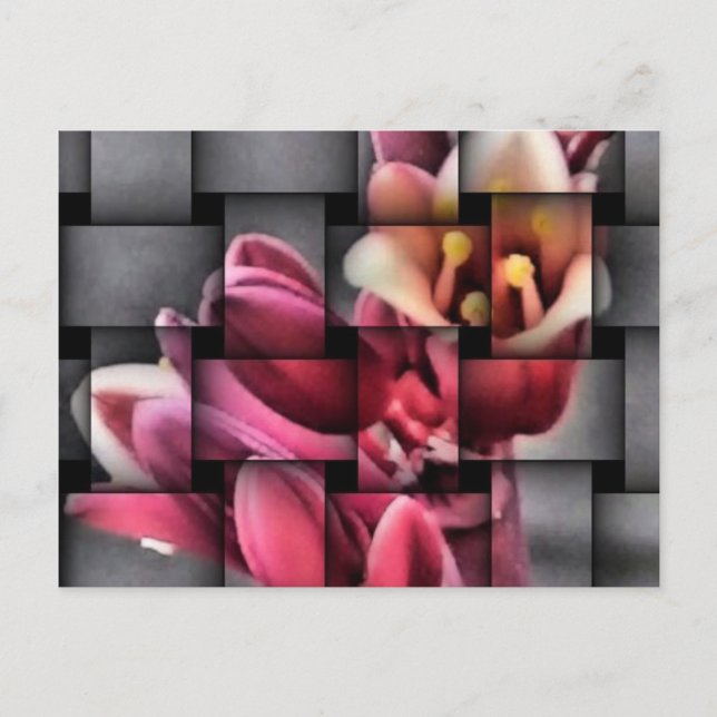 teça-me um cartão postal de flor (Frente)