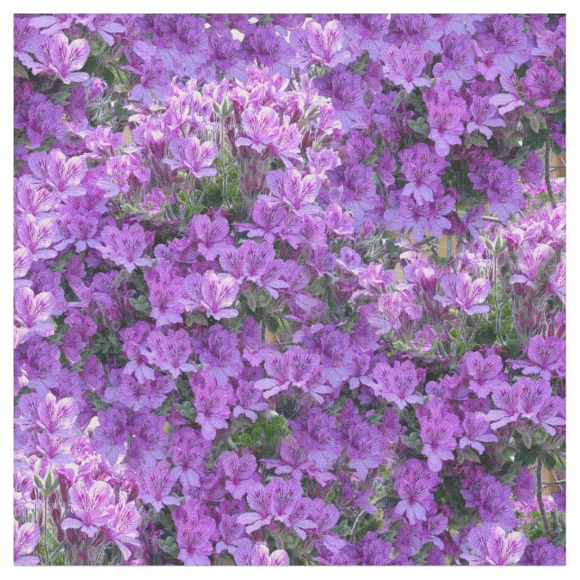 Tecido 2022 cor do ano - Pelargonios violeta-rosa (Detalhe)