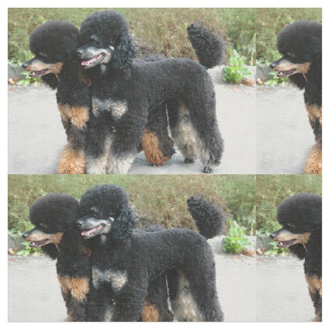 Tecido 2 caniches completas (Detalhe)