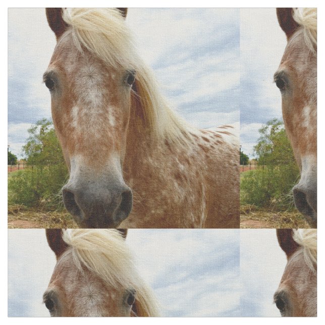 Tecido "A Carona de Açúcar: A Graça de Appaloosa" (Detalhe)