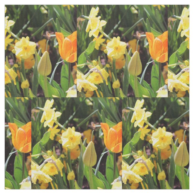 Tecido Aceso (Modelo)