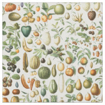 Adolphe Millot Fruta