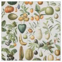 Adolphe Millot Fruta