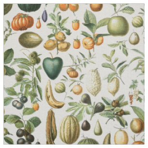 Tecido Adolphe Millot Fruta