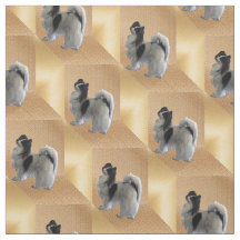 Adorável cão Papillon em Cubos Dourados