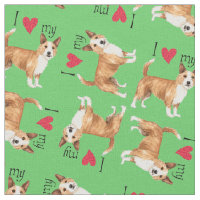 Adoro o meu Podengo Pequeno Português