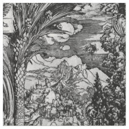 Tecido Albrecht Dürer preto e branco
