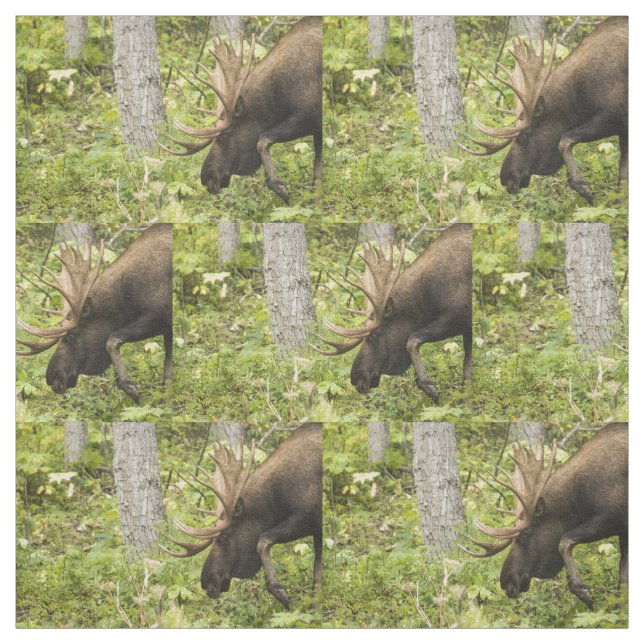 Tecido Alces Meandering (Modelo)