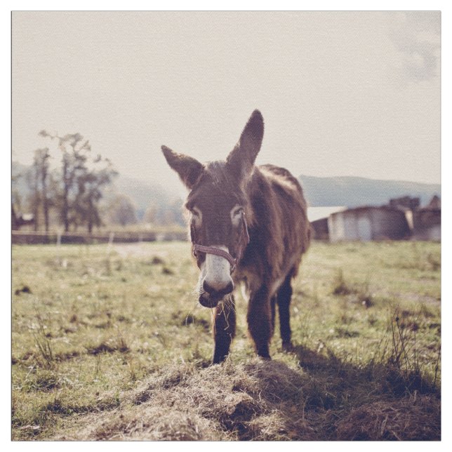 Tecido Alimentação do asno (Modelo)