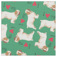 Amo o meu Clumber Spaniel