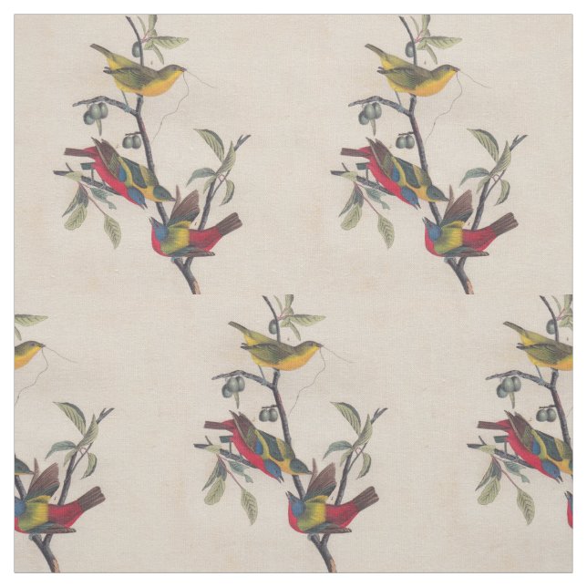 Tecido Animais Selvagens de Aves Pintadas com Audubon (Modelo)