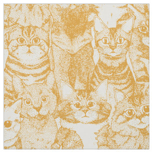 Tecido apenas gatinhos papaya