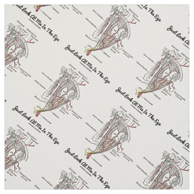 Tecido Apenas Olhe Para Mim Na Anatomia Dos Olhos Humanos (Modelo)