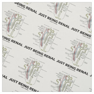 Tecido Apenas sendo humor anatômico renal de Nephron