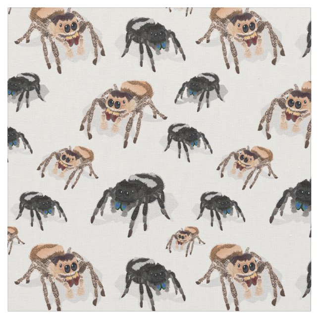 Tecido Aranha Aranha-Pulga Regal Phiddipus Regie Branco (Detalhe)