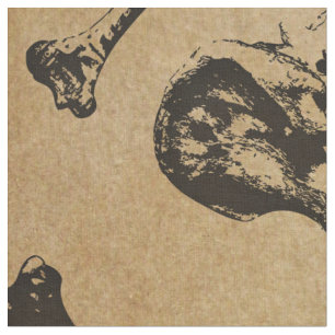 Tecido Arqueologia da Anatomia Óssea