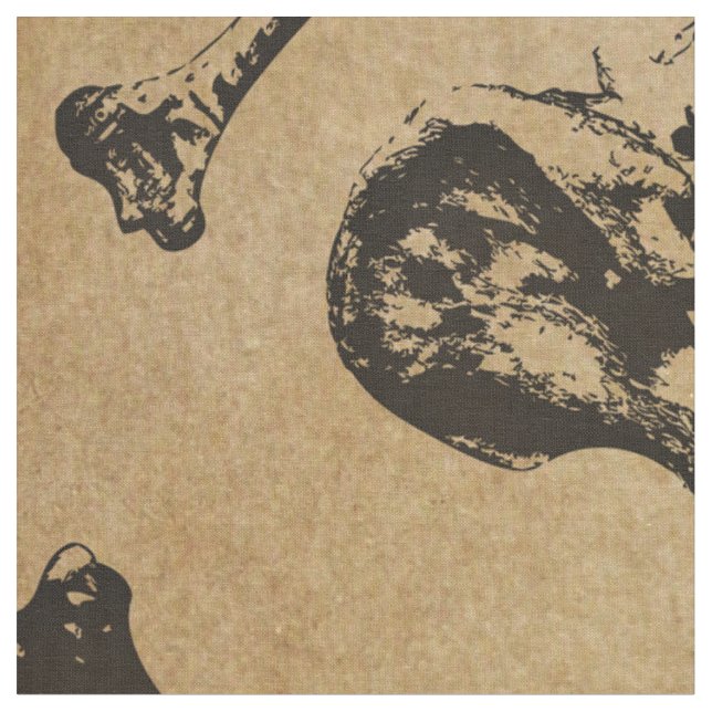 Tecido Arqueologia da Anatomia Óssea (Detalhe)