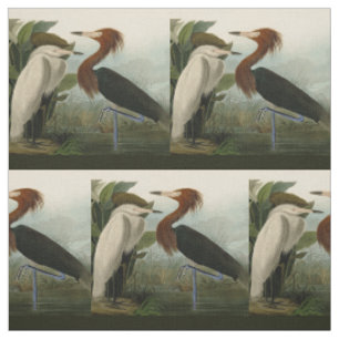 Tecido Arte de Pássaro: Gravura do Garça Roxa de Audubon: