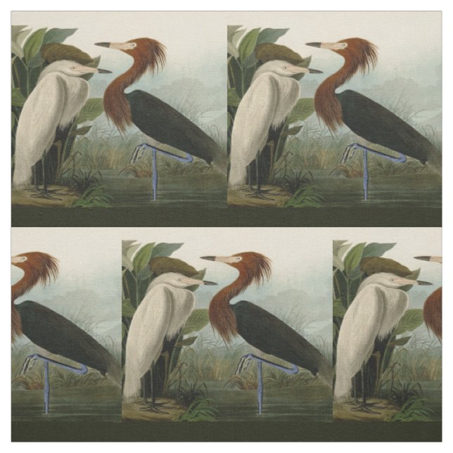 Tecido Arte de Pássaro: Gravura do Garça Roxa de Audubon: (Modelo)