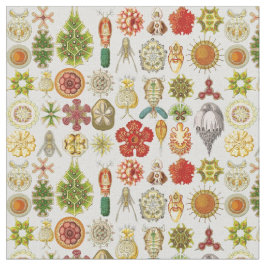 Tecido As maravilhas oceânicos de Ernst Haeckel