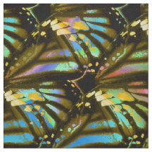 Asas da borboleta do arco-íris