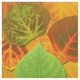 Tecido Aspen Deixa Collage Sólido Medley 1