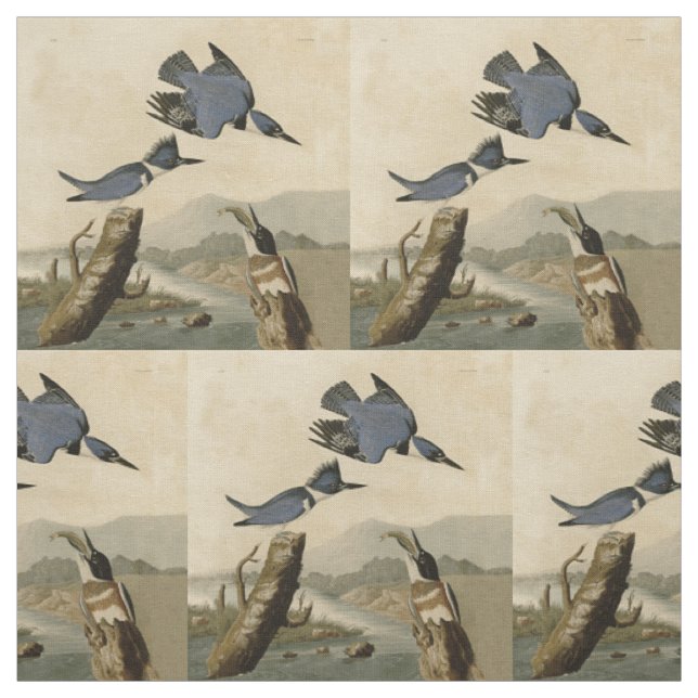 Tecido Audubon Belfisher Kingfisher Wildlife Bird (Modelo)