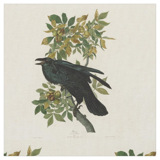 Tecido Audubon Raven Bird Classic Trabalho de arte (Detalhe)