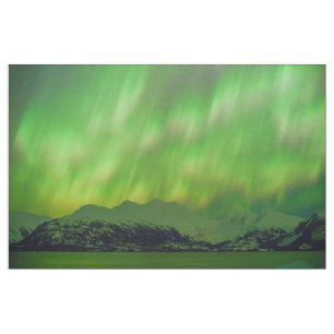 Tecido Aurora Espetacular