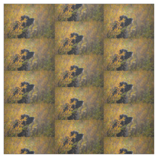 Tecido Autumn Leonberger