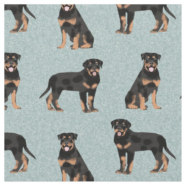 Tecido azul-claro para o cão rottweiler (Detalhe)