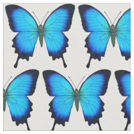 Tecido azul da borboleta de Ulysses Swallowtail