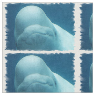 Tecido Baleia da beluga