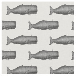 Tecido Baleia do século XIX do vintage que tira N