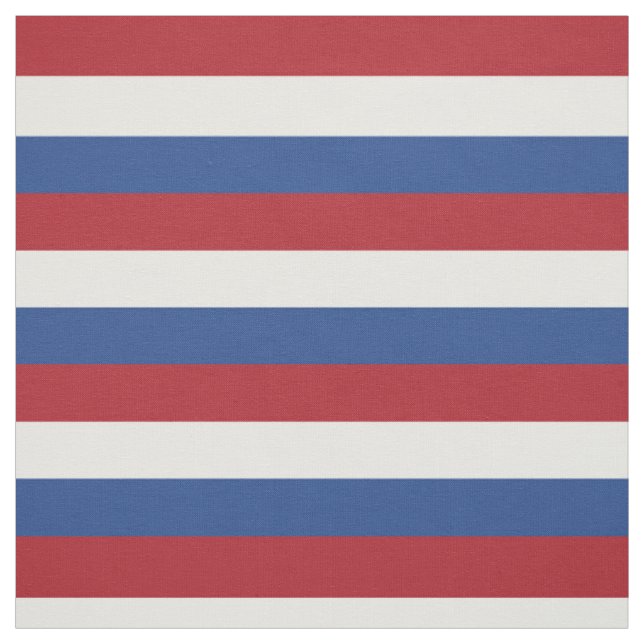 Tecido Bandeira da Holanda (Modelo)
