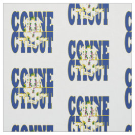 Tecido bandeira do estado americano de Connecticut