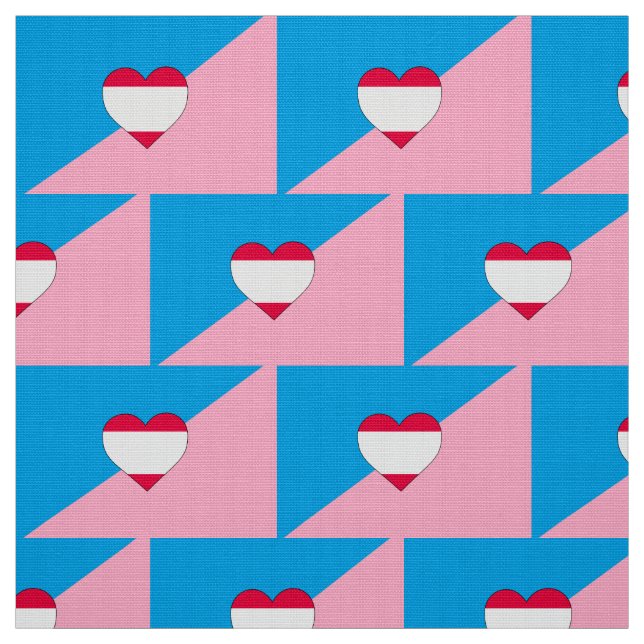 Tecido Bandeira do Orgulho do Jogo de Idade (Modelo)