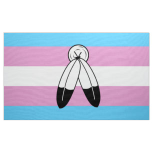 Tecido Bandeira do Orgulho Trans de Duas Espíritos