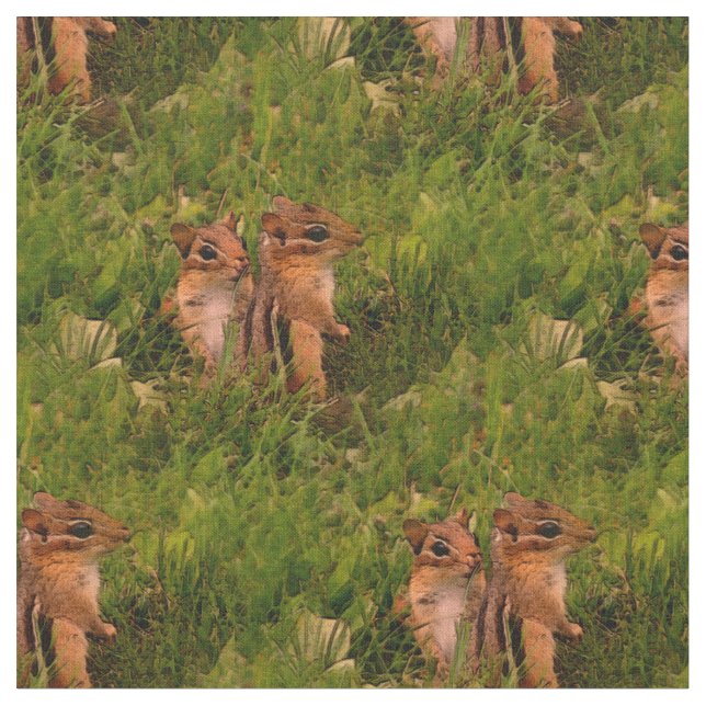 Tecido Bebês Chipunes Natureza Animal (Detalhe)