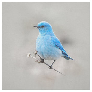 Tecido Bela Montanha Bluebird