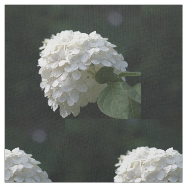 Tecido Belo Limão Branco Hydrangea Floral (Modelo)