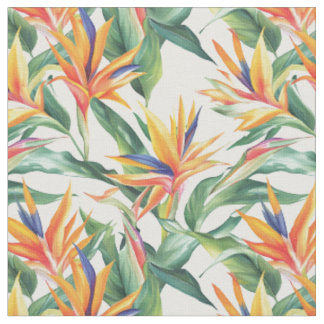 Tecido Birds of Paradise Bliss