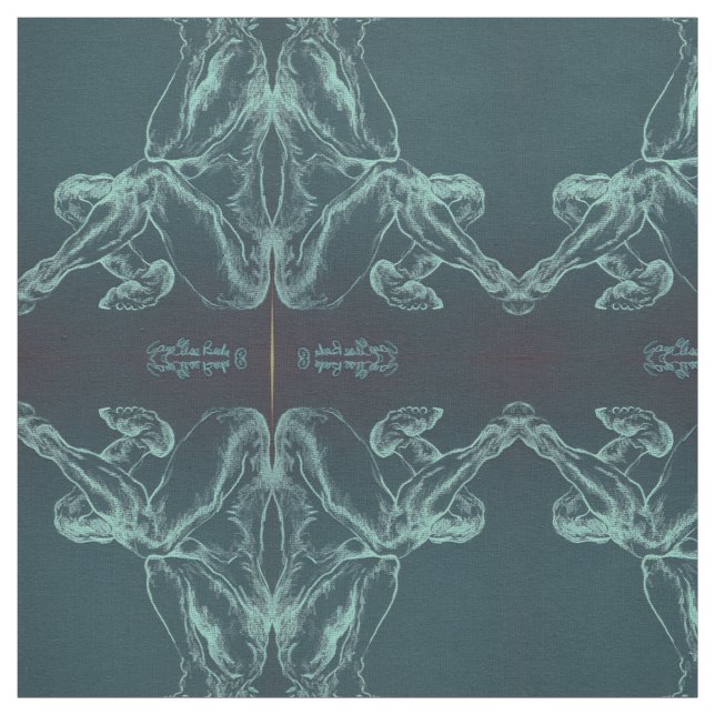 Tecido Bise em preto (Modelo)