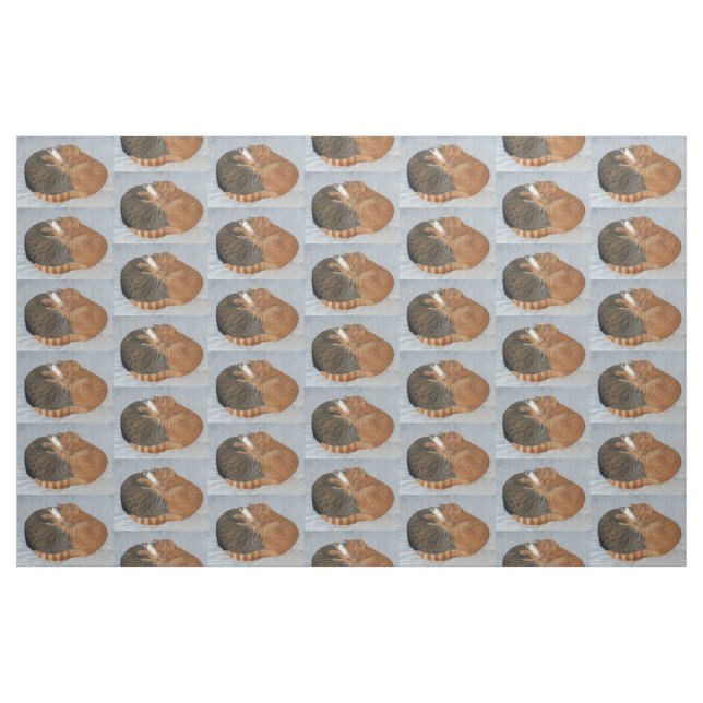 Tecido Bola de Cuteness (Fat Quarter)