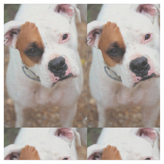 Tecido Boop (Detalhe)