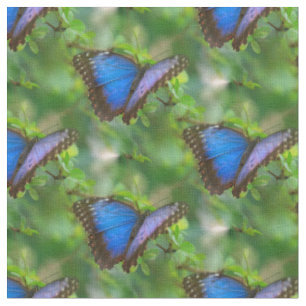 Tecido Borboleta Azul
