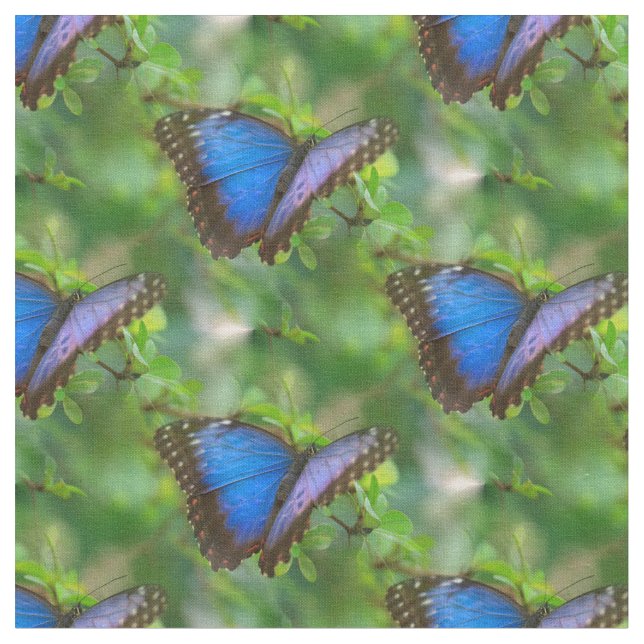 Tecido Borboleta Azul (Detalhe)