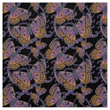 Borboleta de cobre de Boulder