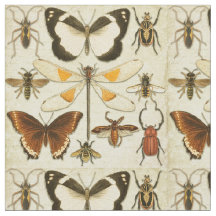 Borboleta Entomológica Insetos Vintage Papel Antig