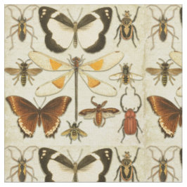 Tecido Borboleta Entomológica Insetos Vintage Papel Antig